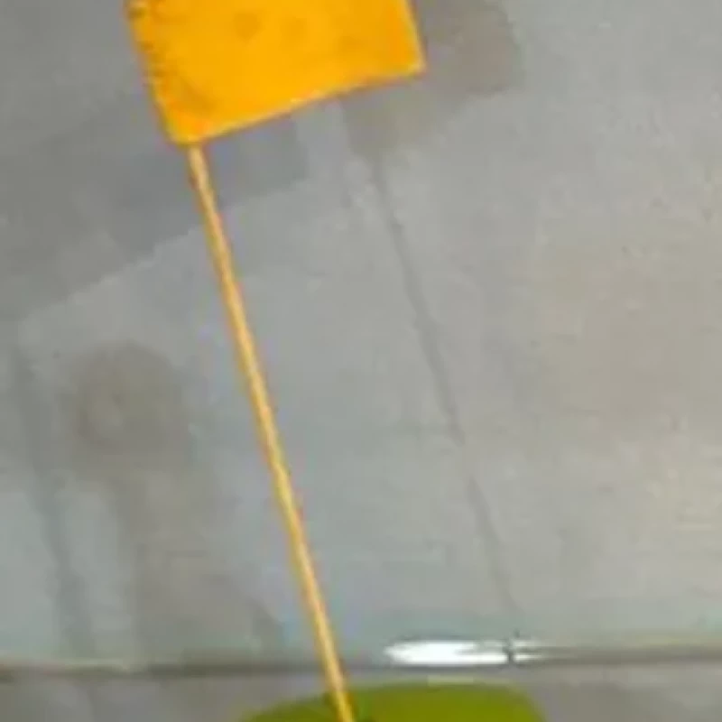 LE DRAPEAU GOLF - Les Civils Notre siècle / Sport et Loisirs