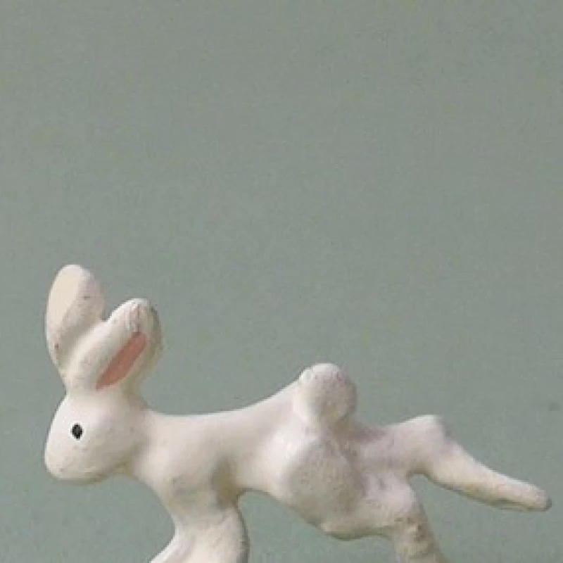 LE LAPIN BLANC - Les Civils Notre siècle / Musique-Opéra-Spectacle